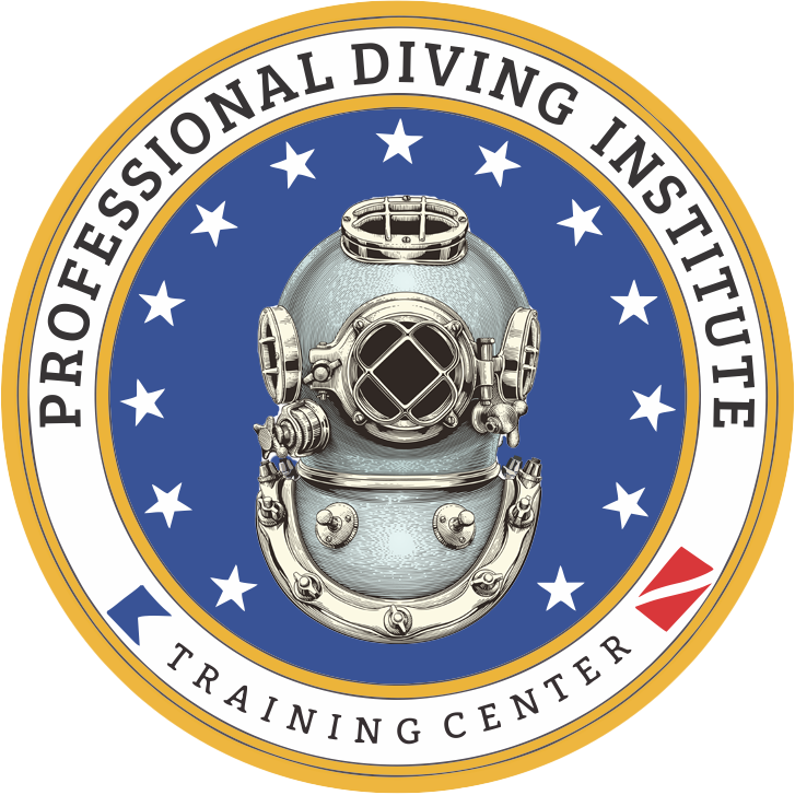 PDI Internacional